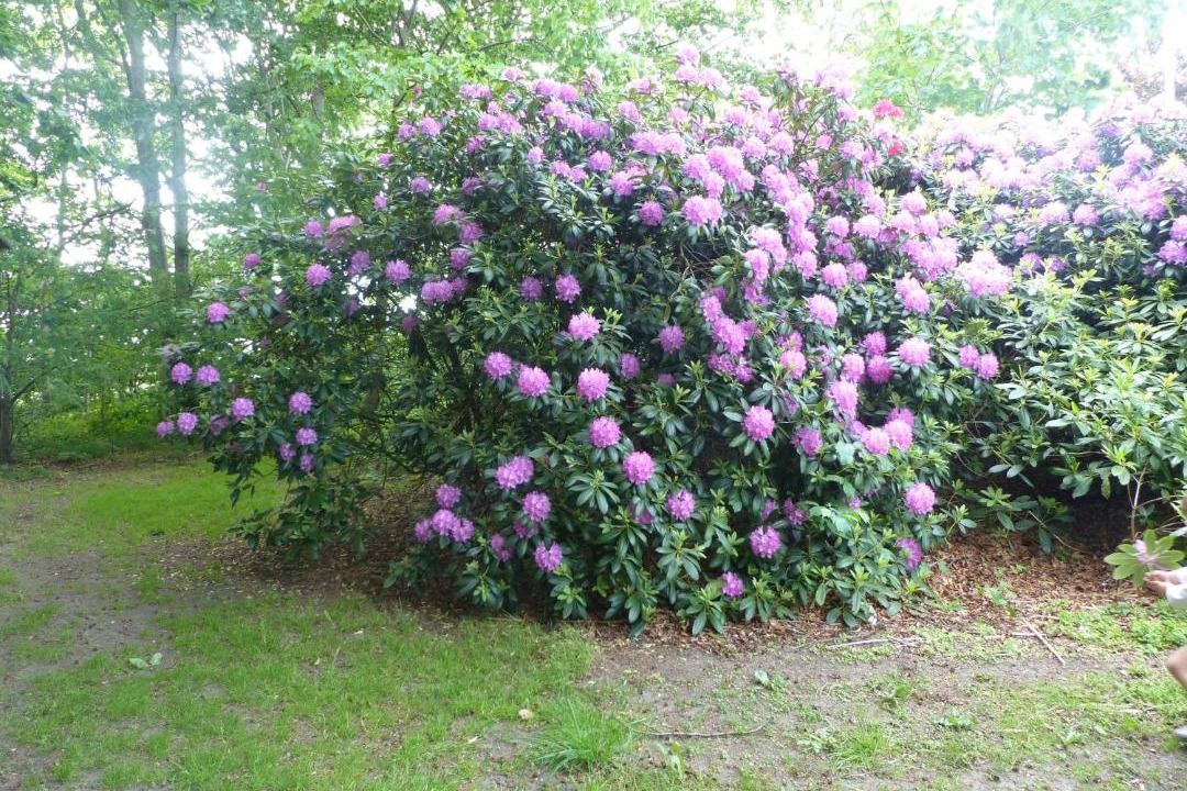 Photo of Others in Tistrup