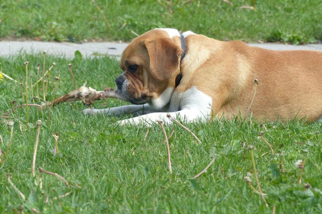 Photo of Others in Tistrup