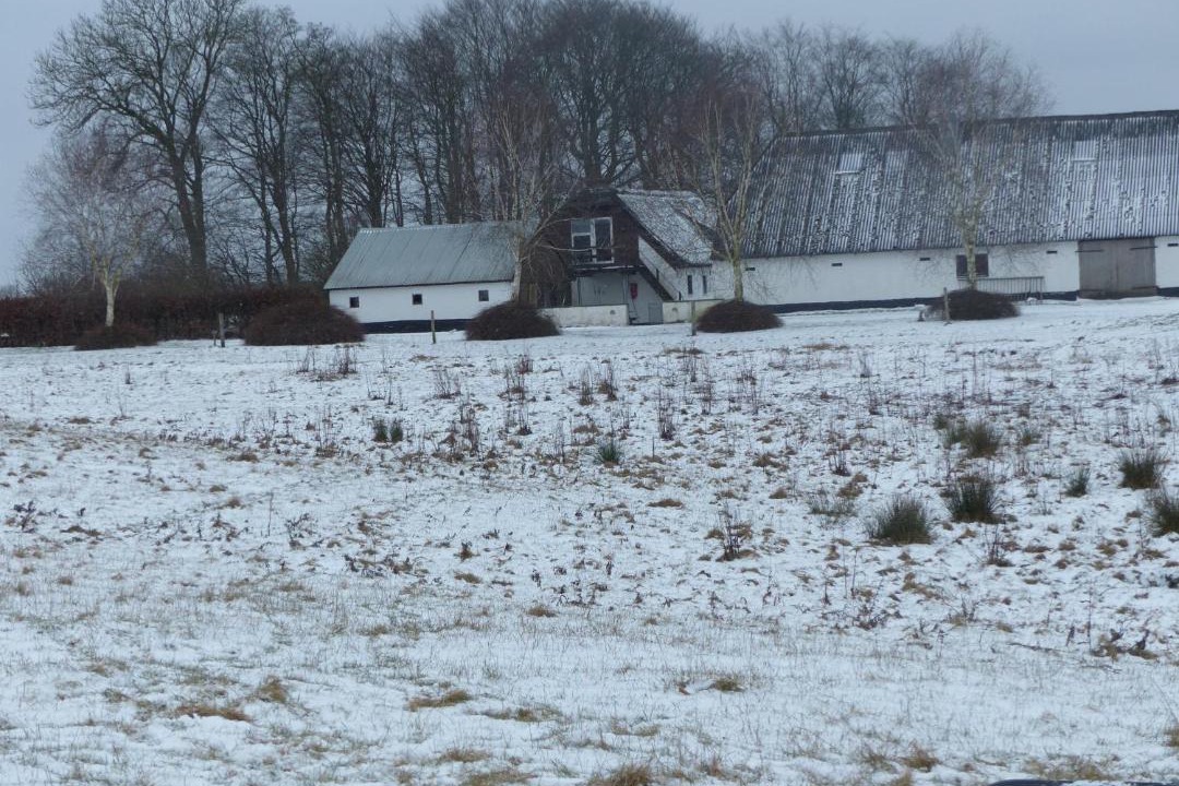 Photo of Others in Tistrup