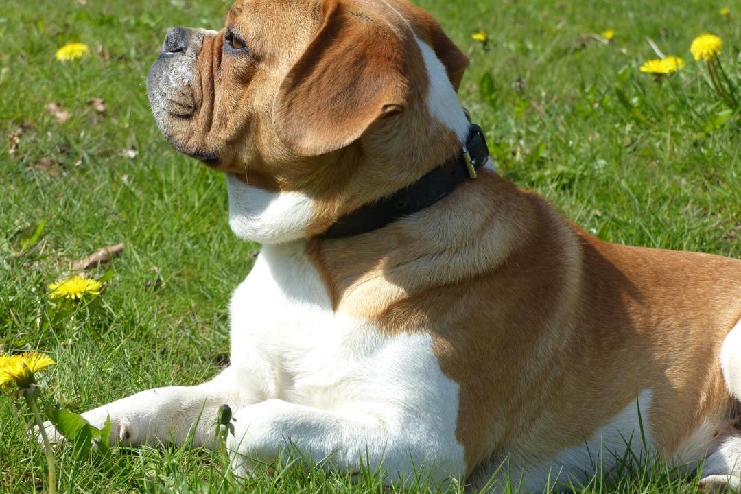 Photo of Others in Tistrup