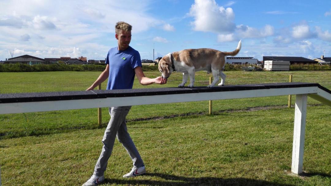 Photo of Others in Thorsminde