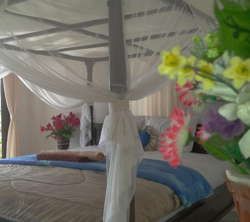 Photo of Others in Amed