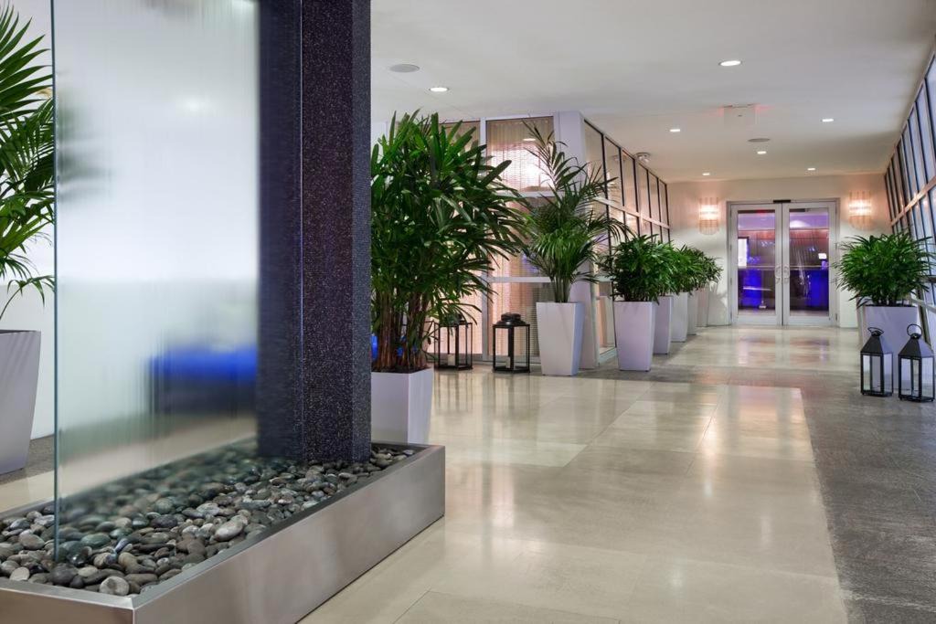 Photo of Others in South Beach