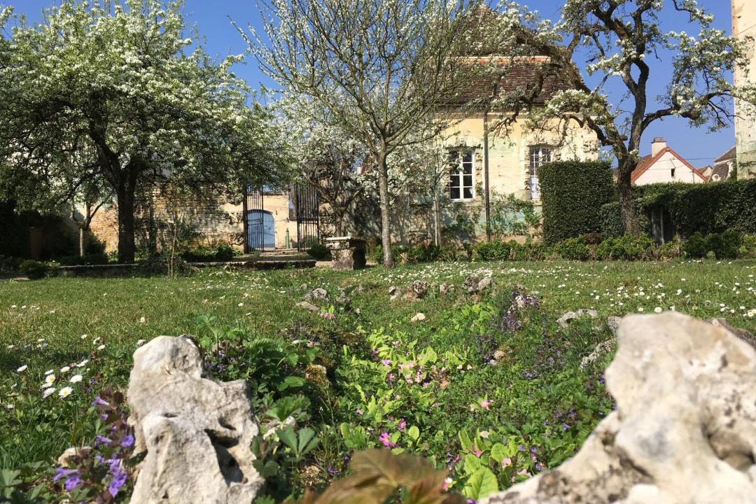 Photo of Others in Savigny-les-Beaune