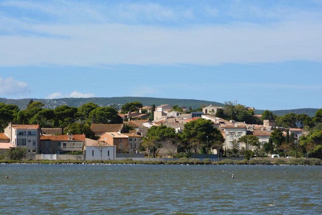 Photo of Outdoor in Saint-Marsal