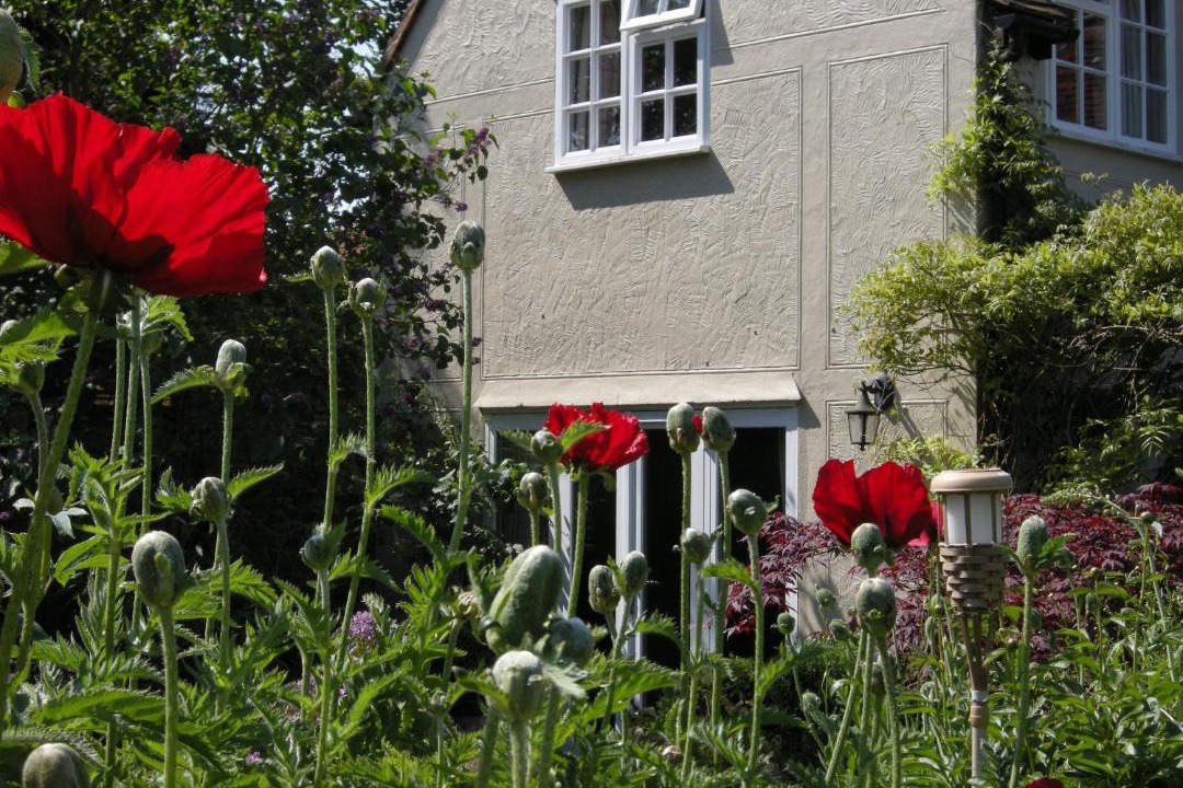 Photo of Others in Stebbing