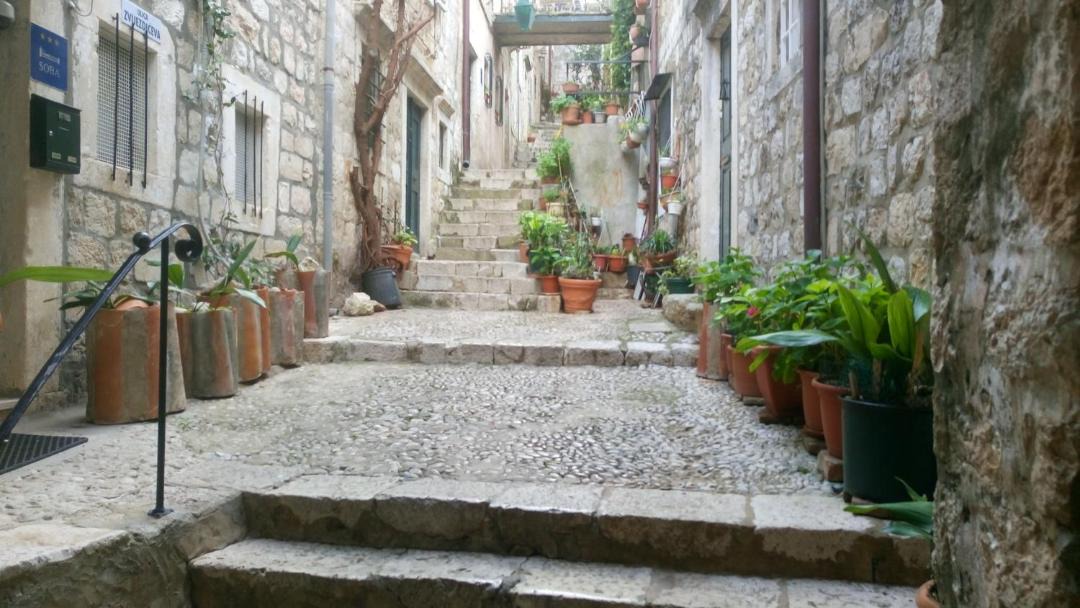 Photo of Others in Dubrovnik Old Town