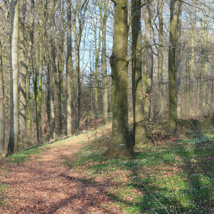 Photo of Others in Skovbyballe