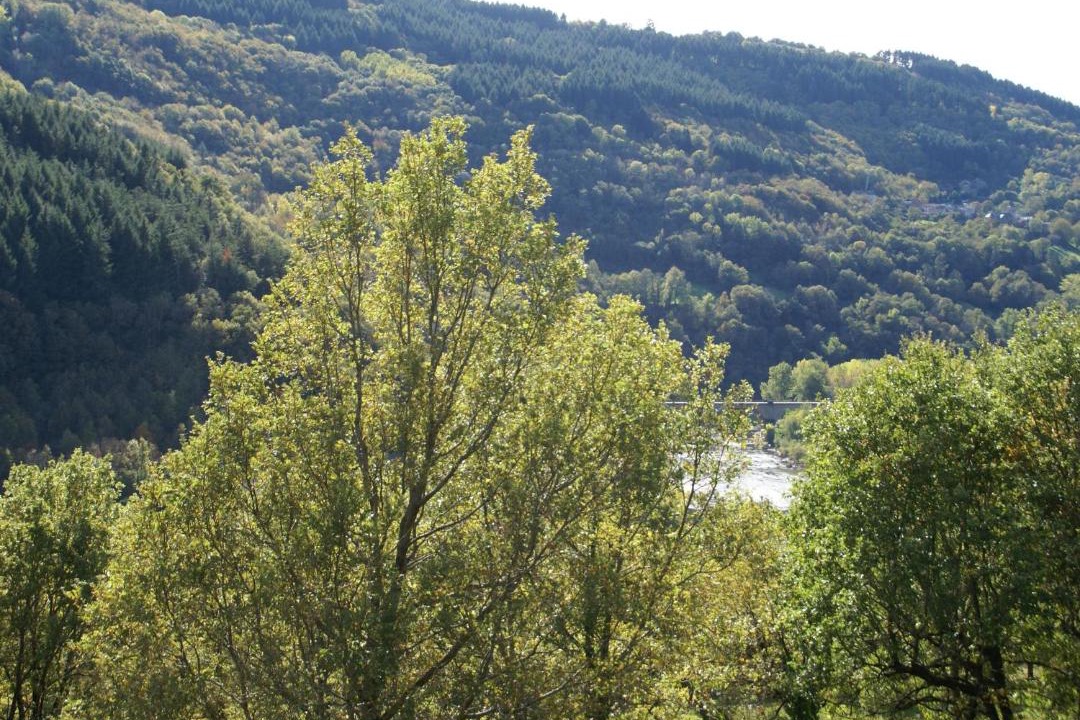 Photo of Outdoor in Connac