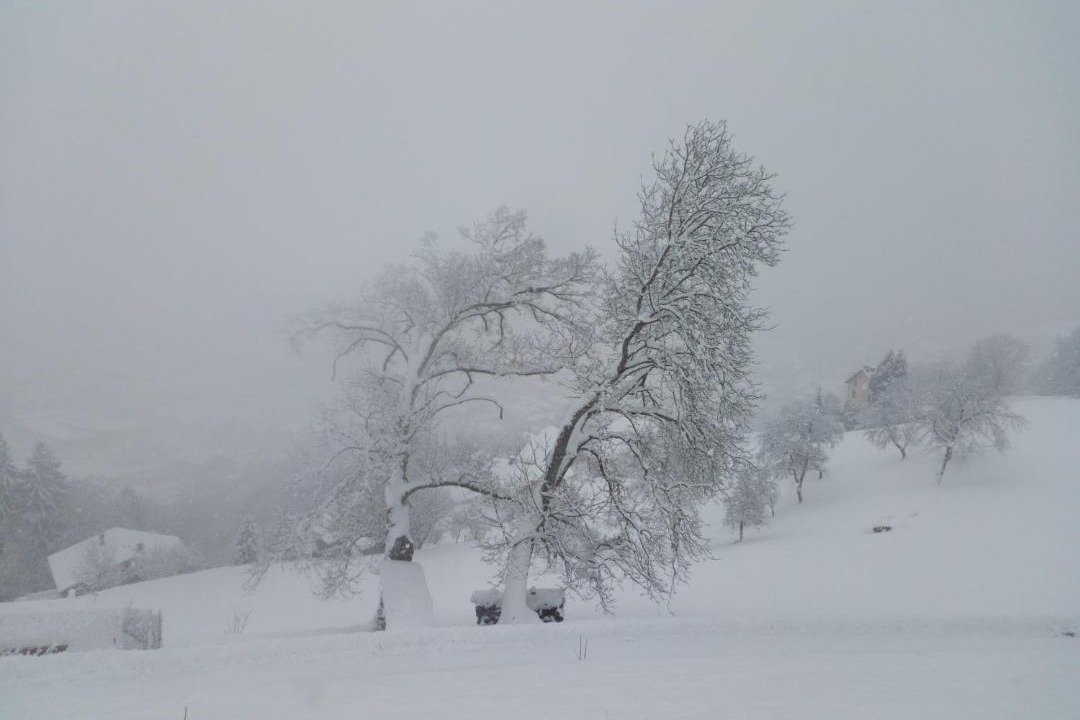 Photo of Others in Sallanches