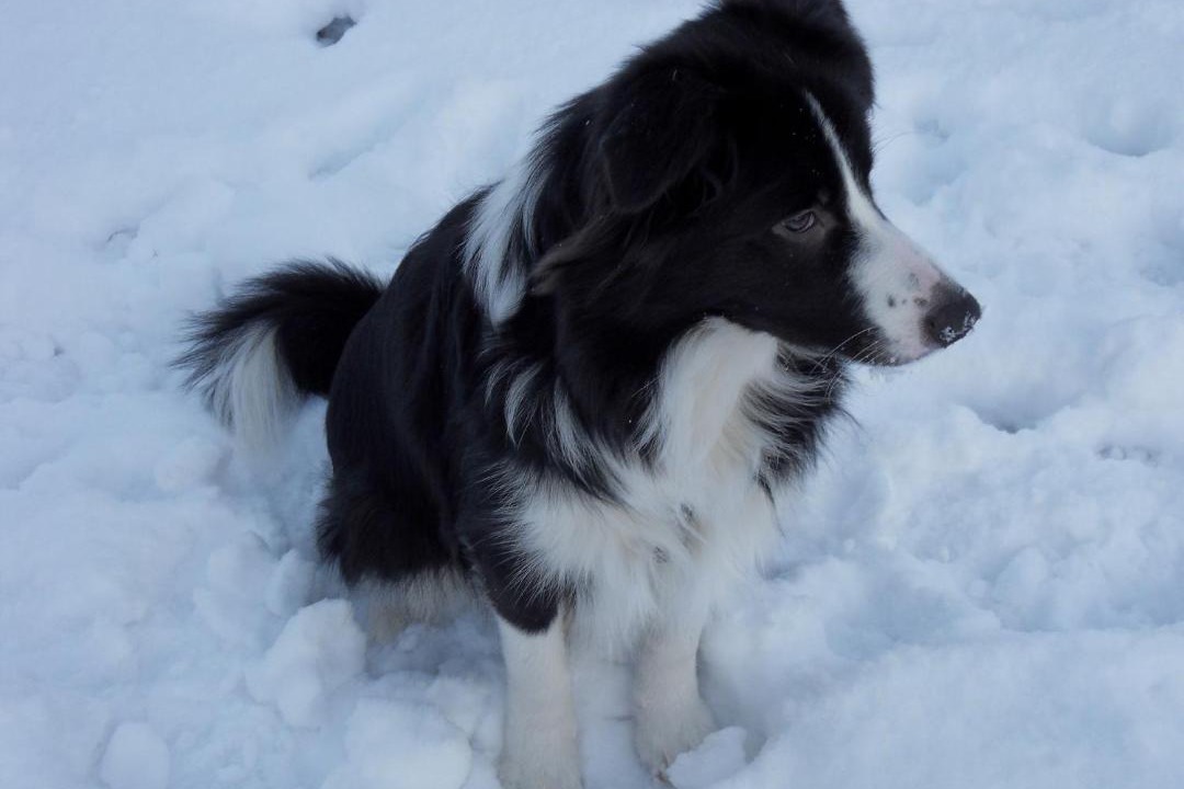 Photo of Others in Birkerod