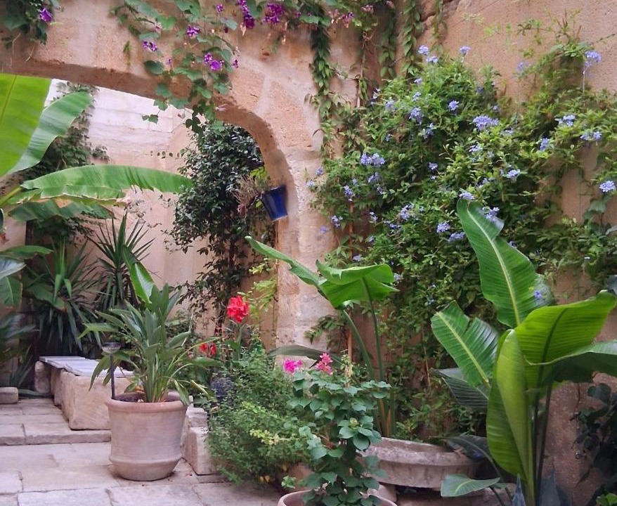 Photo of Others in Beaucaire