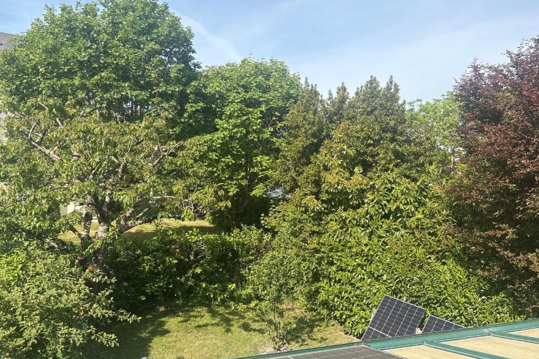 Photo of Others in Joue-les-Tours