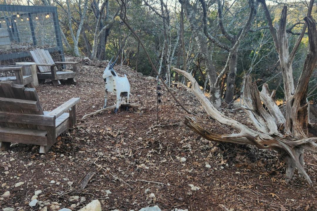 Photo of Others in Spring Branch