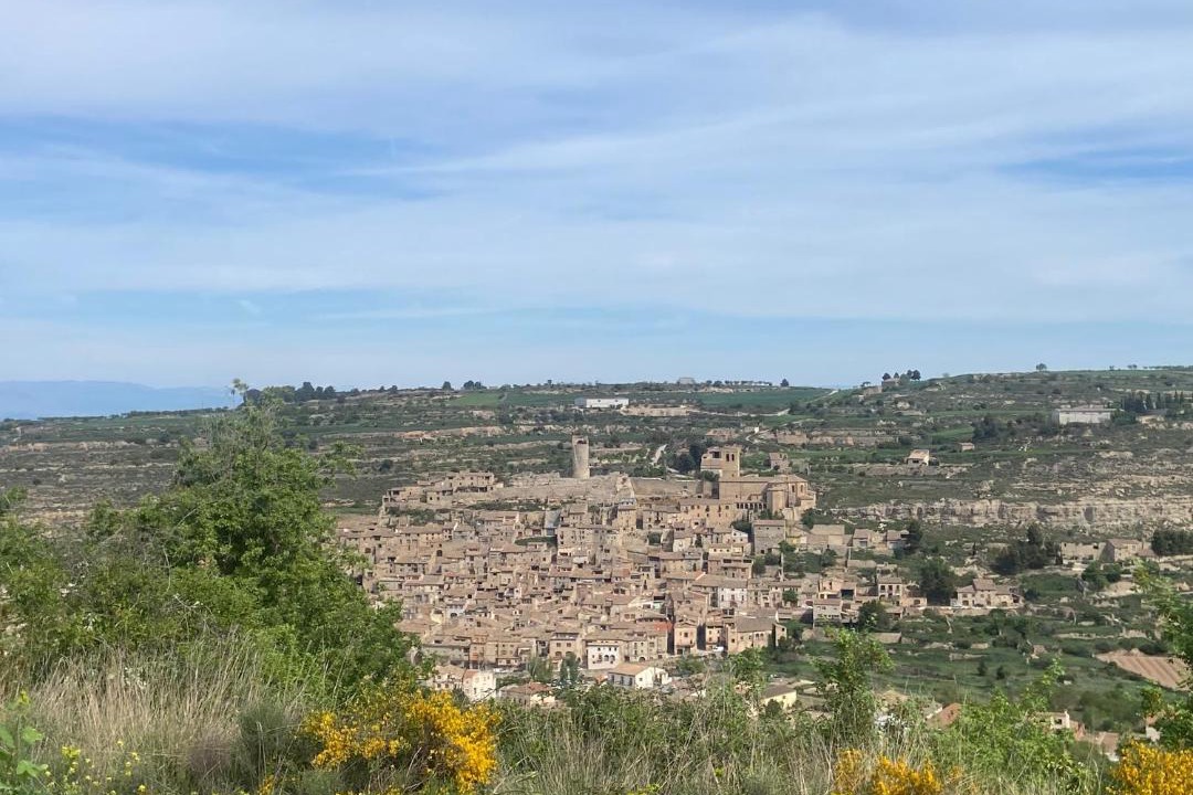 Photo of Others in Guimera