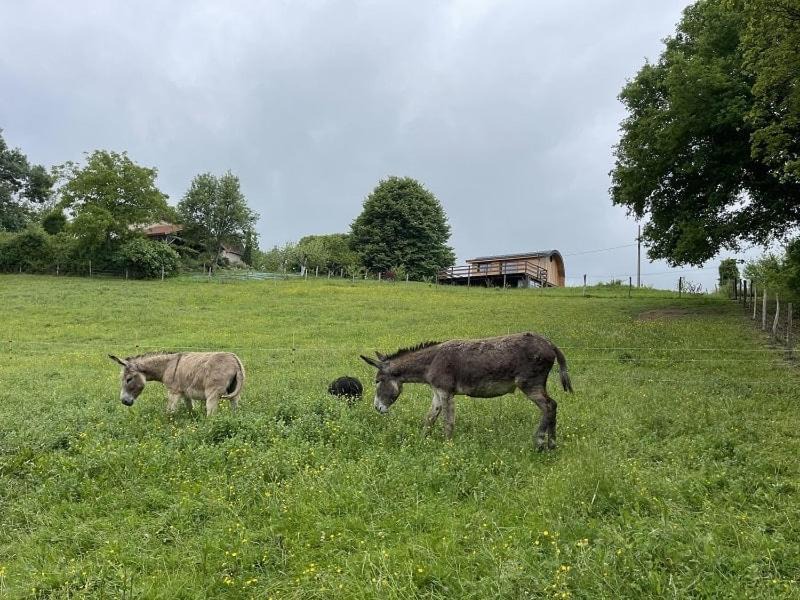 Photo of Others in Salles-Mongiscard
