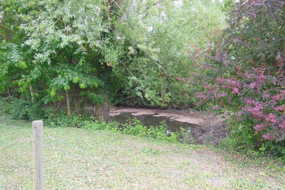 Photo of Outdoor in Les Rosiers-sur-Loire