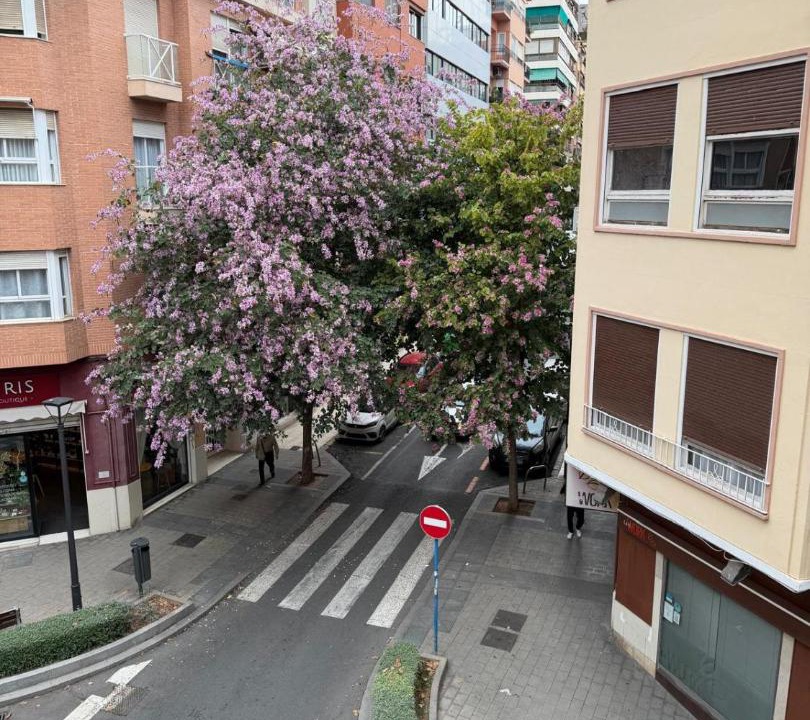 Photo of Others in Alicante