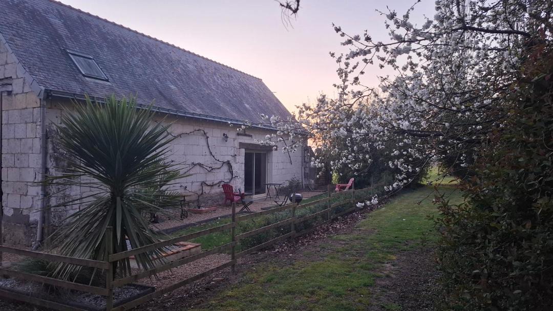 Photo of Others in Les Rosiers-sur-Loire