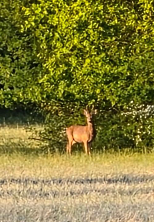 Photo of Outdoor in Congis-sur-Therouanne