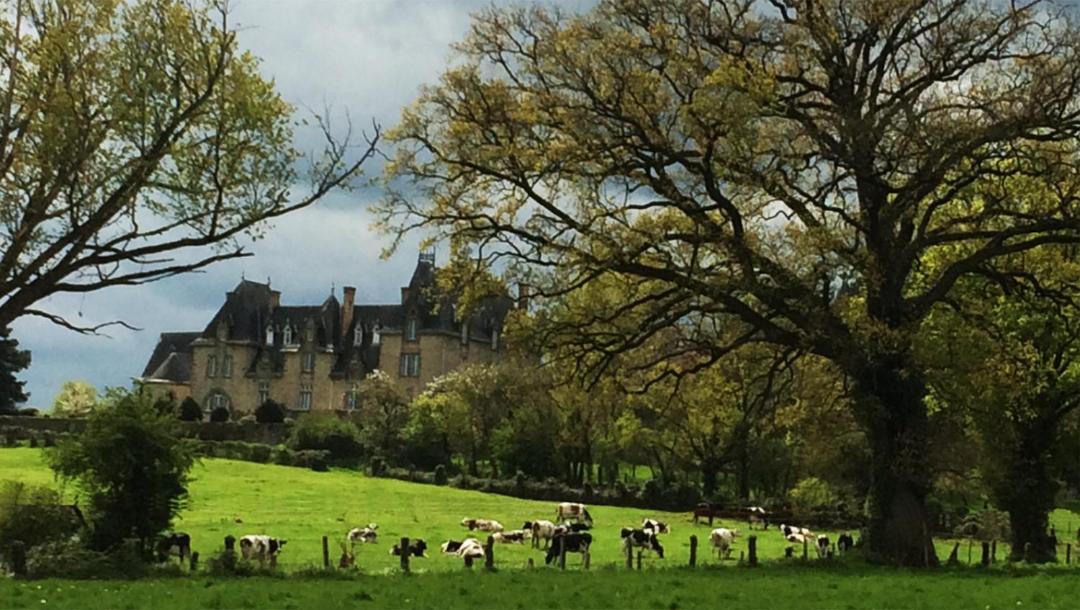 Photo of Others in Saint-Germain-le-Guillaume