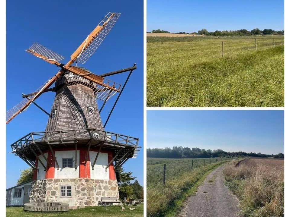Photo of Buildings in Bog By