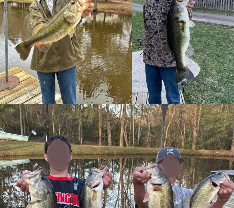Photo of Others in Huntington