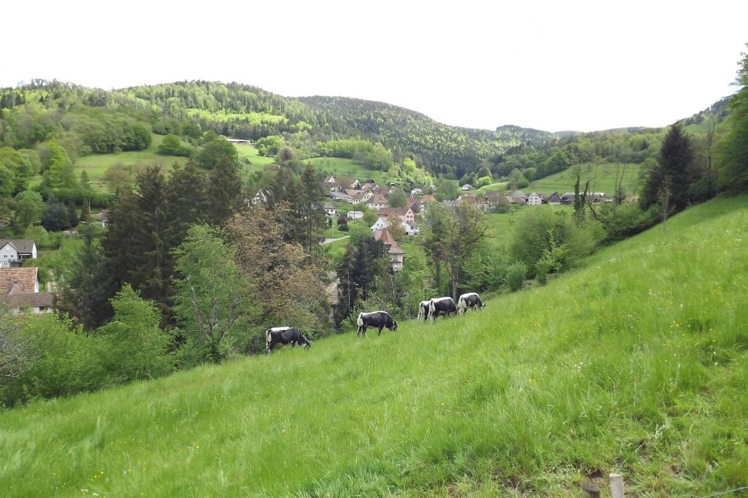 Photo of Others in Breitenbach-Haut-Rhin