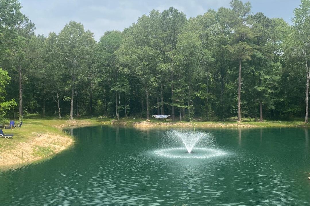 Photo of Others in Montgomery