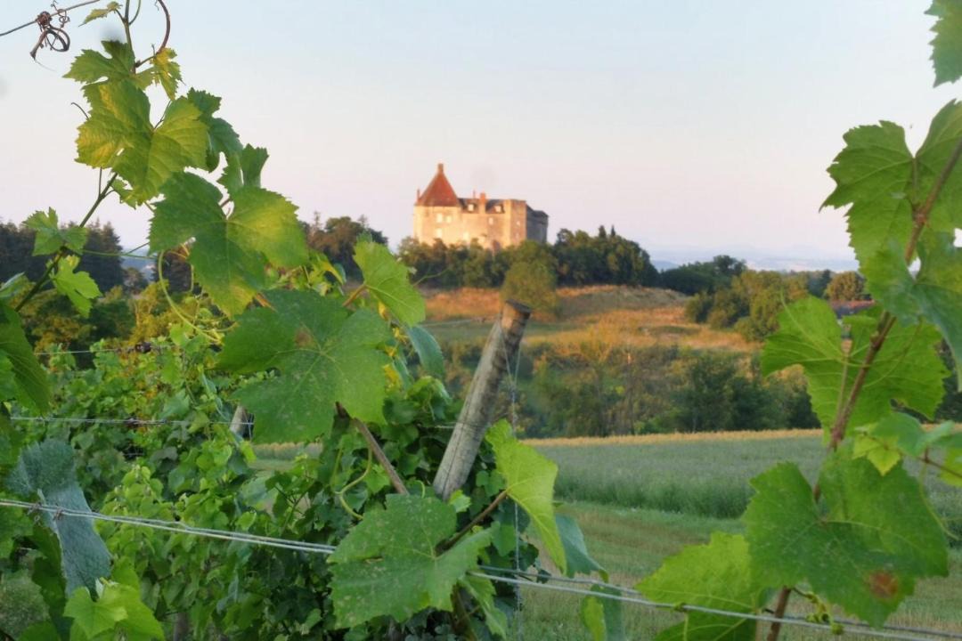 Photo of Others in Saulcet