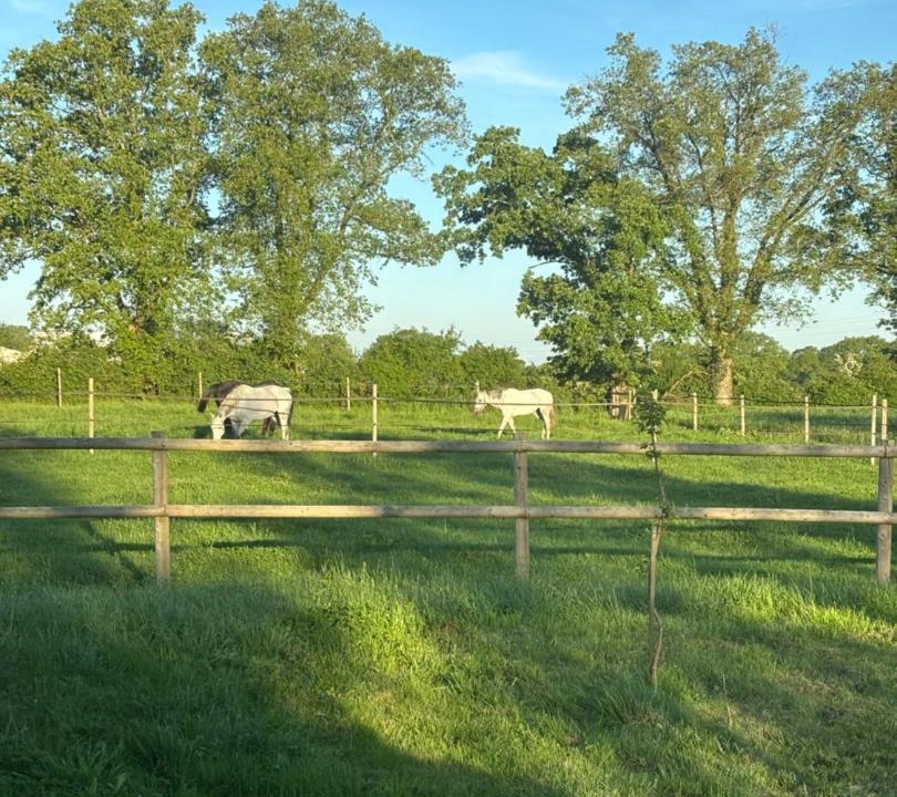 Photo of Others in Saint-Erblon