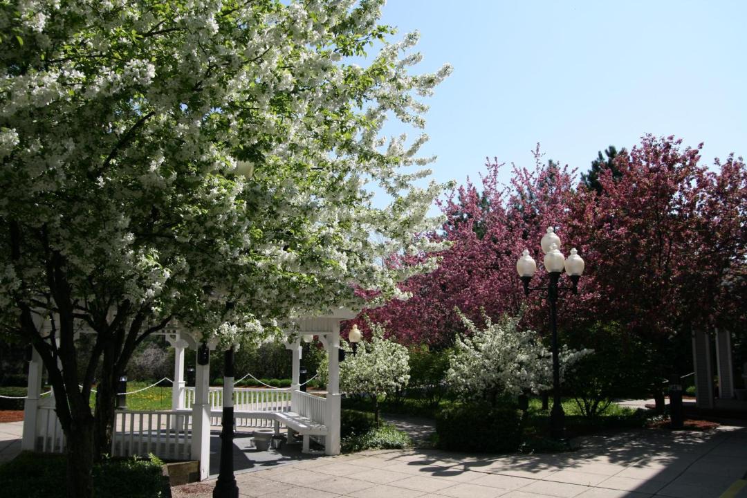 Photo of Others in Burlington