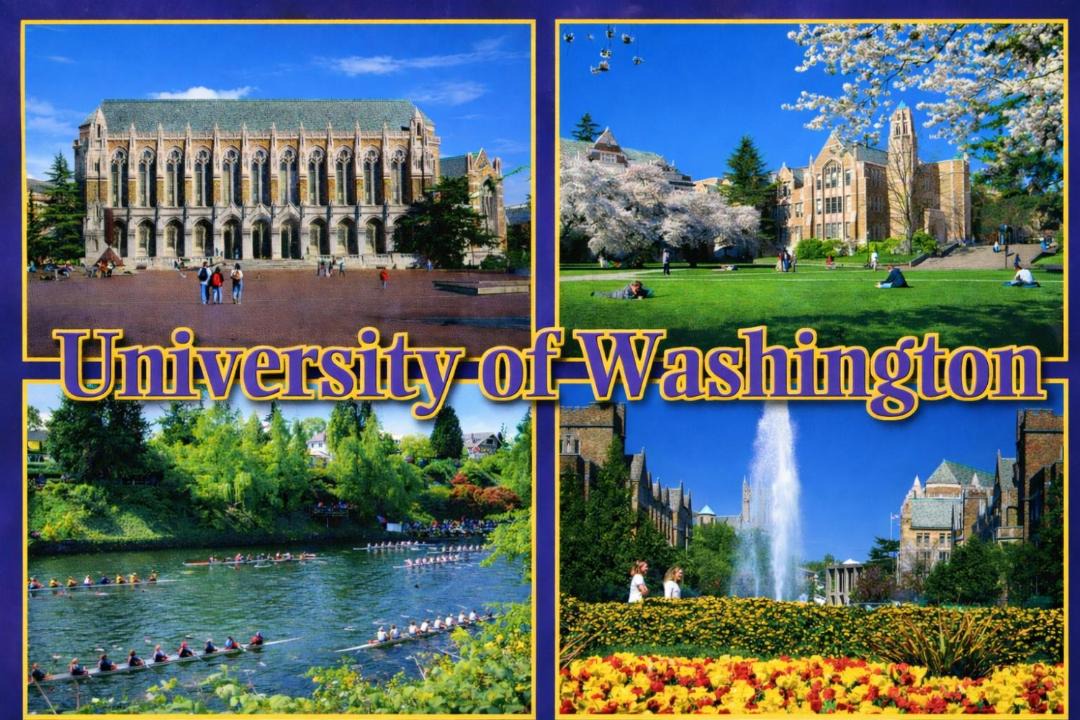 Photo of Others in University District