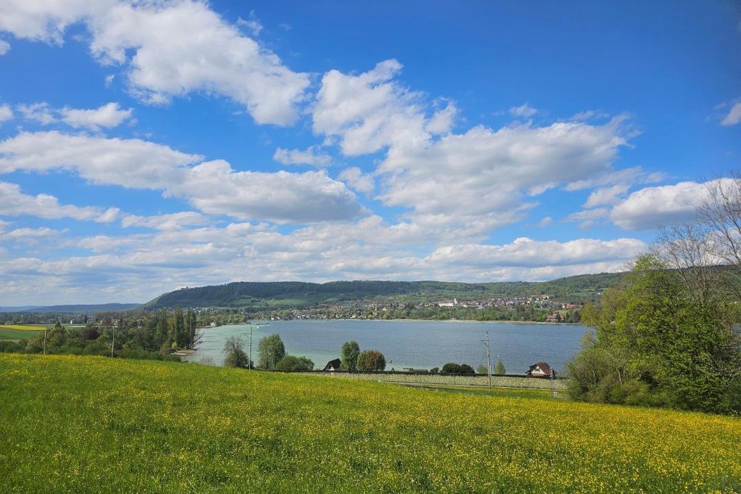 Photo of Others in Eschenz