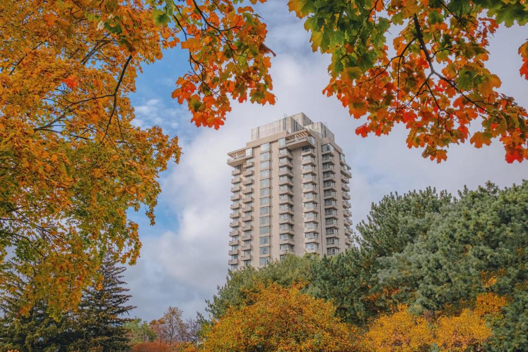 Photo of Others in North York
