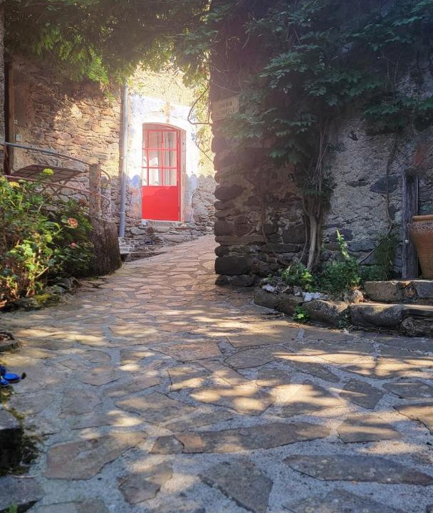 Photo of Others in Valleraugue