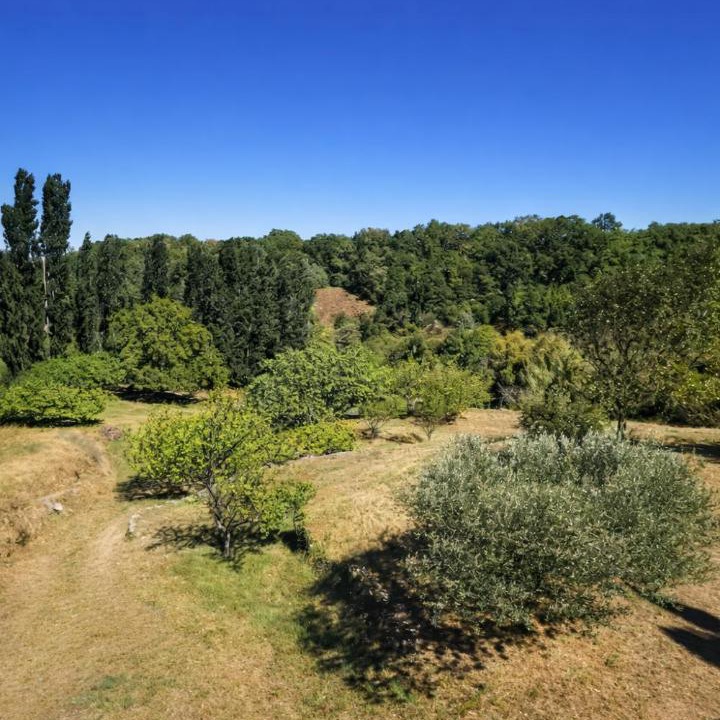 Photo of Others in Saint-Montan