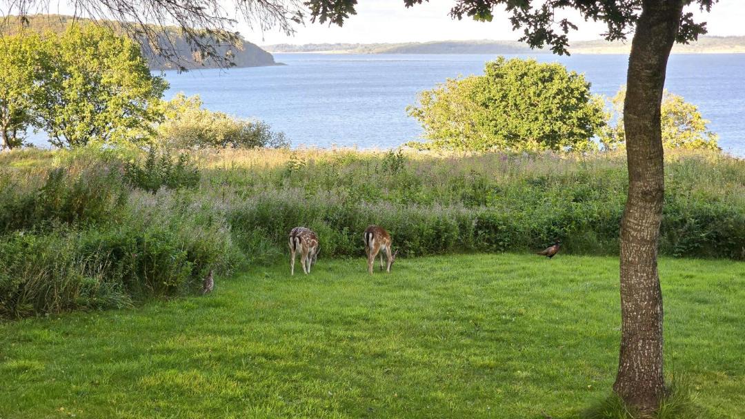 Photo of Others in Vester Grønning