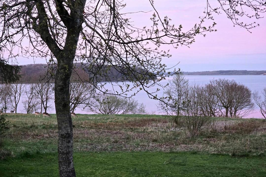 Photo of Others in Vester Grønning