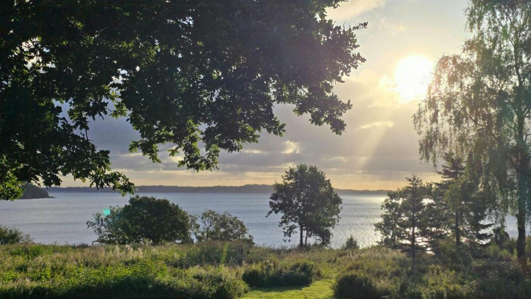 Photo of Others in Vester Grønning