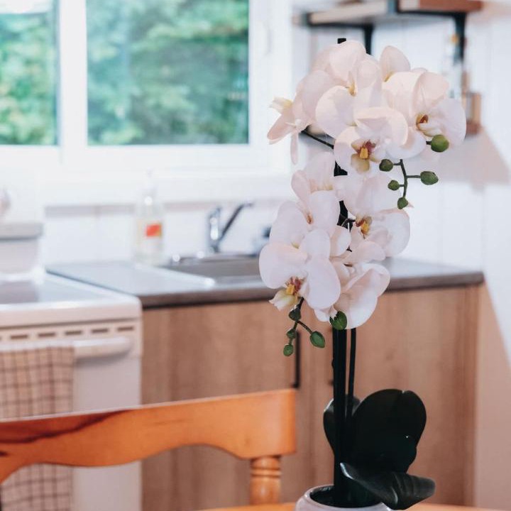 Photo of Kitchen in Frampton
