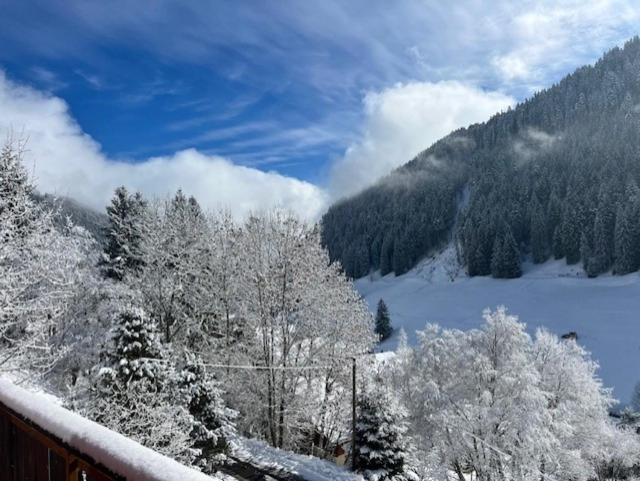 Photo of Others in Morgins