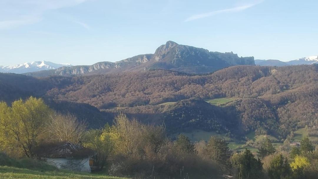 Photo of Others in Ceret