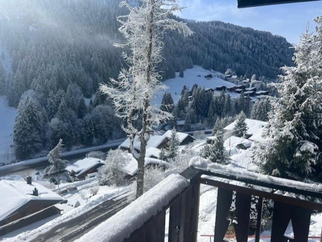 Photo of Others in Morgins