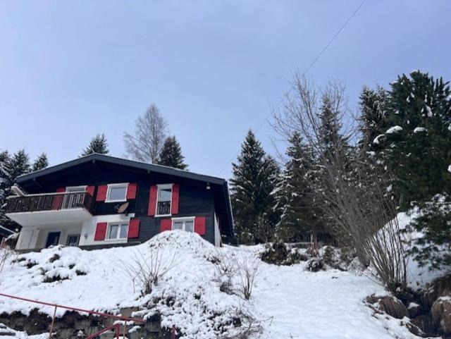 Photo of Others in Morgins