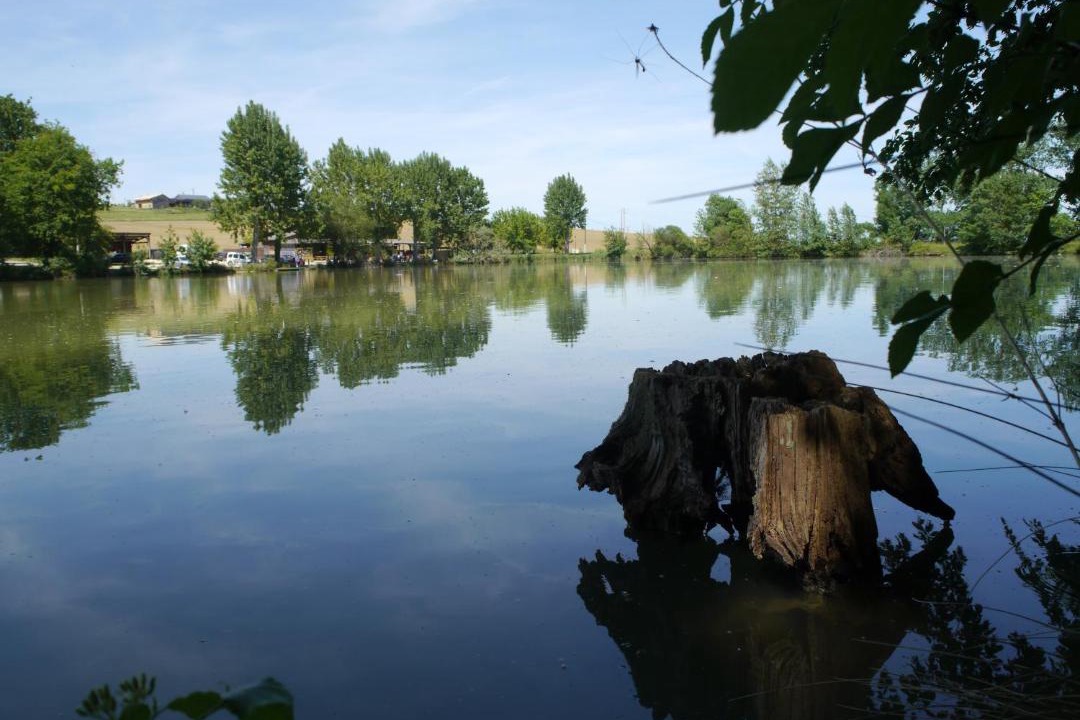 Photo of Others in Cancon