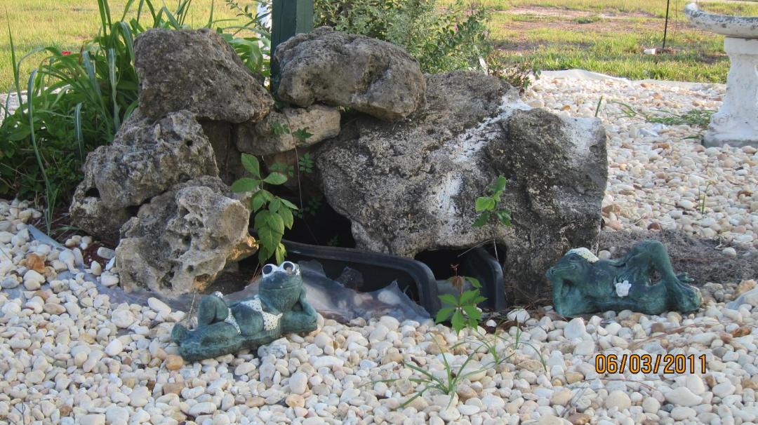 Photo of Others in High Springs