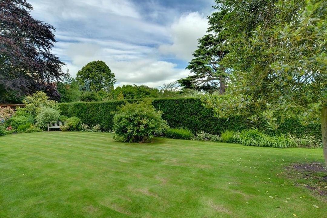 Photo of Others in Sandwich