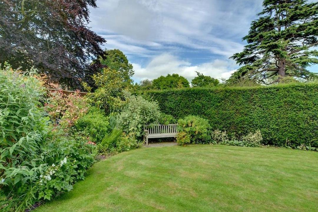 Photo of Others in Sandwich