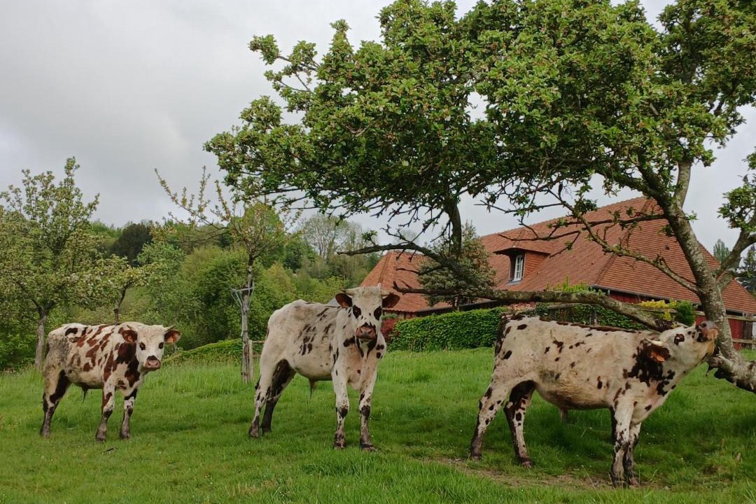 Photo of Others in Courtonne-la-Meurdrac